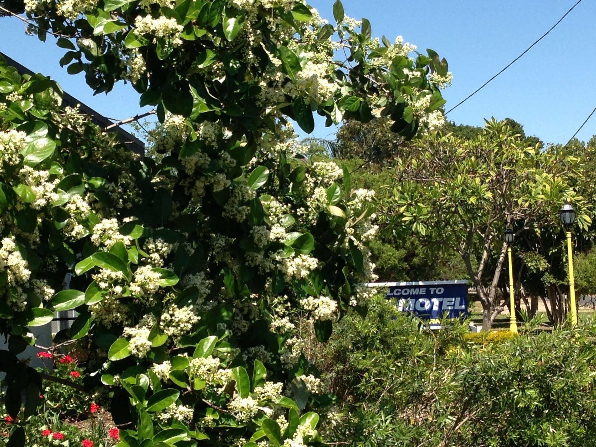 Boggabilla Motel Kültér fotó